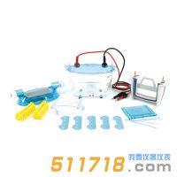 北京六一 DYCZ-24K、DYCZ-24KS型雙板垂直電泳儀
