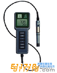 美國YSI 63型酸度、鹽度、電導、溫度測量儀
