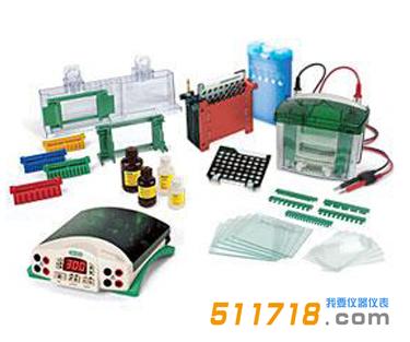 Bio-Rad 1658033垂直電泳轉印系統套裝.jpg